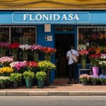 Las 5 mejores floristerías en Floridablanca para tus ocasiones especiales